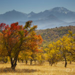 2024年10月8日（火）ウズベキスタン撮影のスペシャリスト、写真家・秋野深先生と、最も美しい紅葉の季節に行く「ウズベキスタン撮影の旅　8日間」